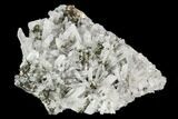 Gleaming Pyrite & Quartz Crystal Association - Peru #124444-1